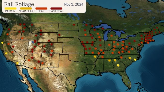 Fall Coverage Still an Opportunity to Enjoy Fall Foliage
