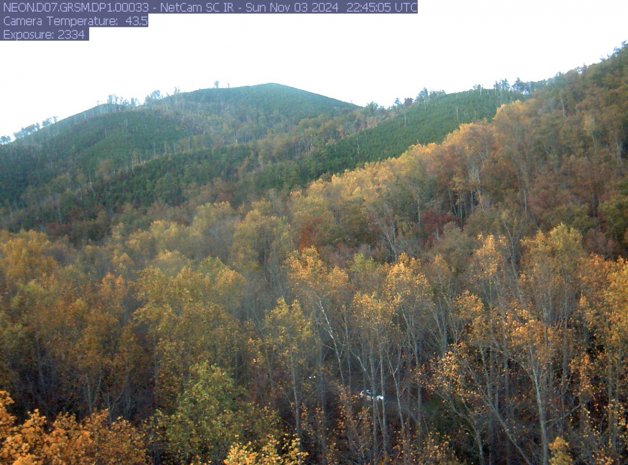 Enjoy Fall Foliage in the Smoky Mountain National Park