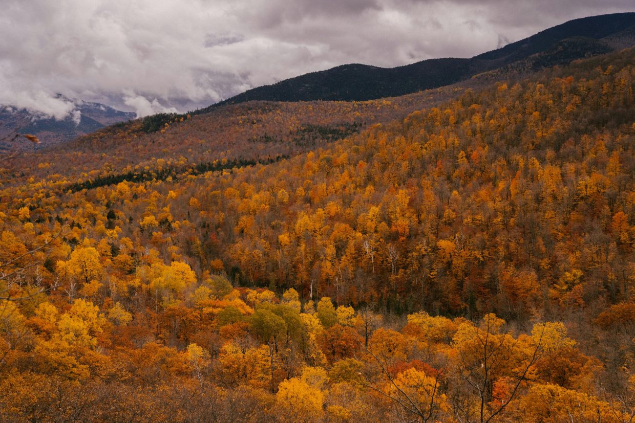 Enjoy Fall Foliage in the Rocky Mountains